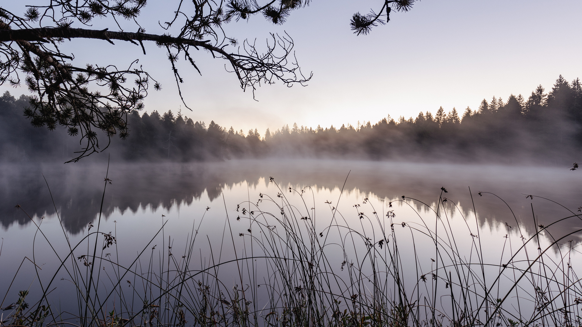 "Am Moorsee"-Bilderserie - Bild1: Blaue Stunde