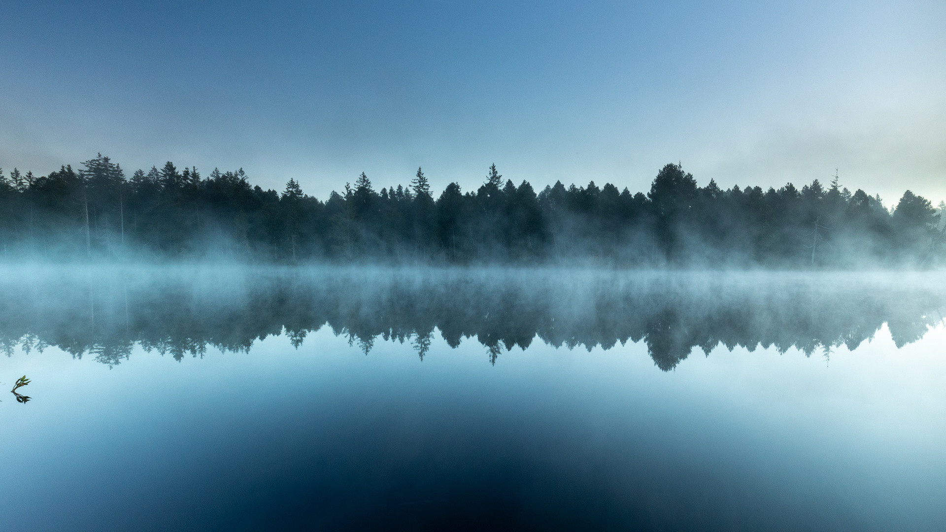 "Am Moorsee"-Bilderserie - Bild2: Symmetrie in der blaue Stunde