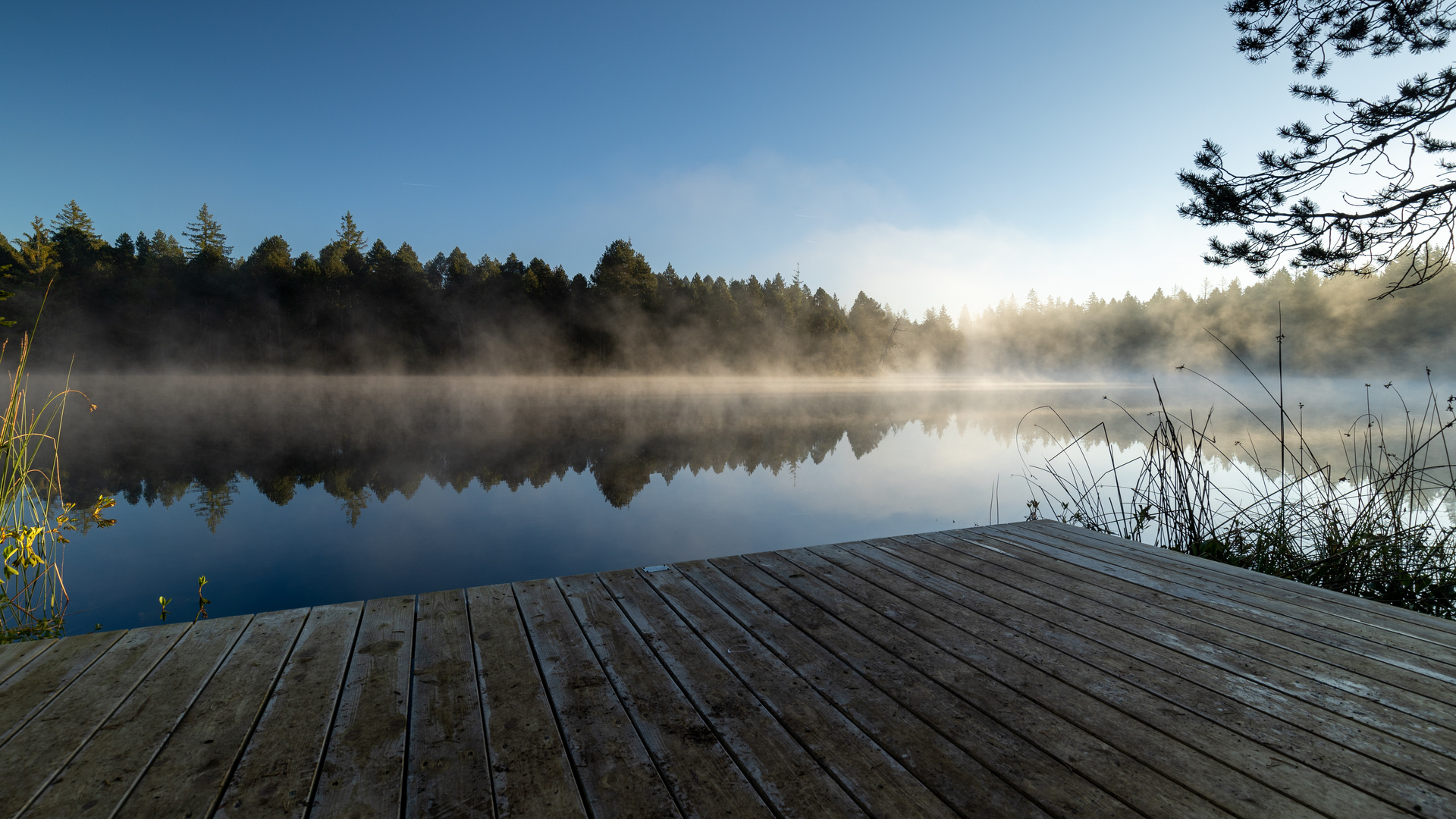 "Am Moorsee"-Bilderserie - Bild3: Sonnenbestrahlte Nebelschwaden