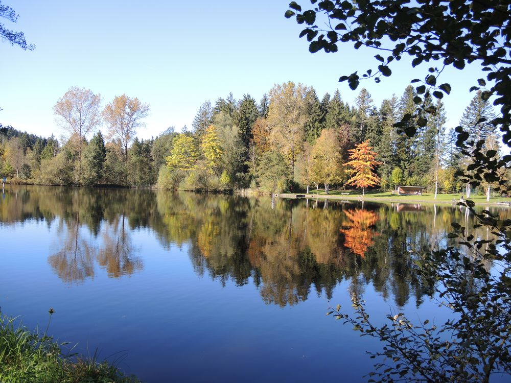 Am Moorsee Lindenberg 