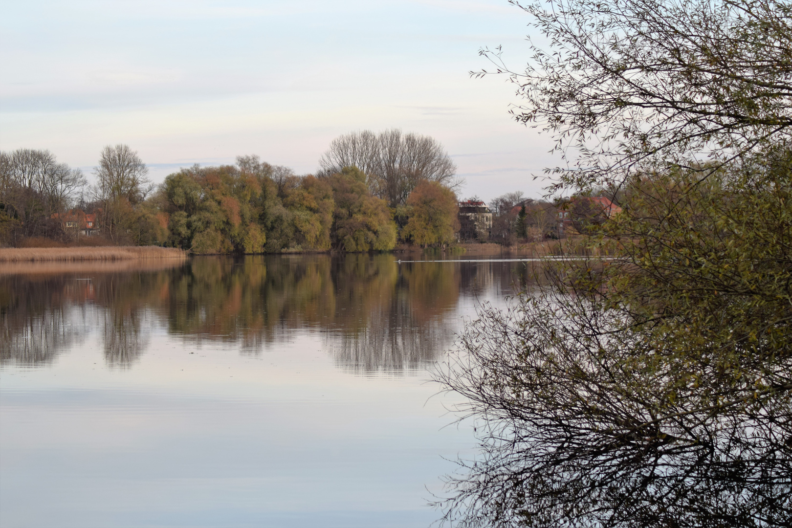 Am Moorteich