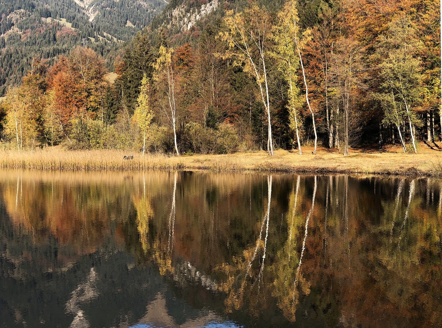 Am Moorweiher