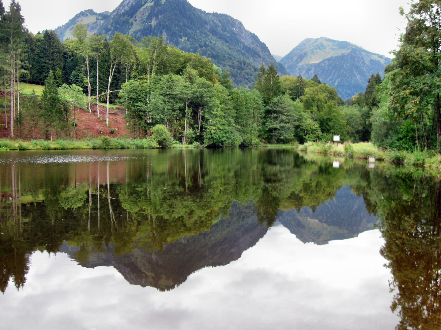 Am Moorweiher