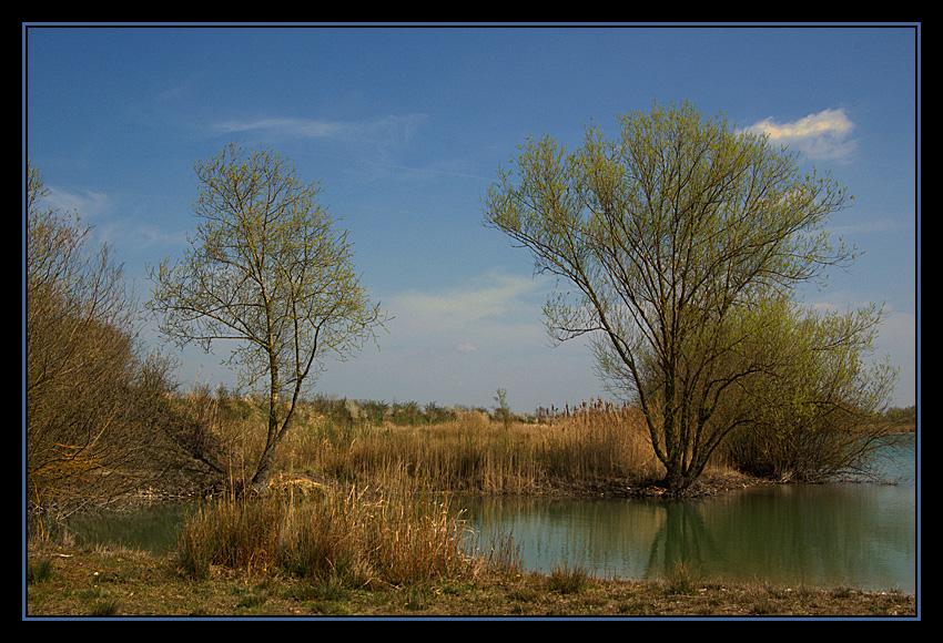 am Mooshandl-Weiher