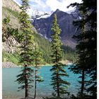 Am Moraine Lake