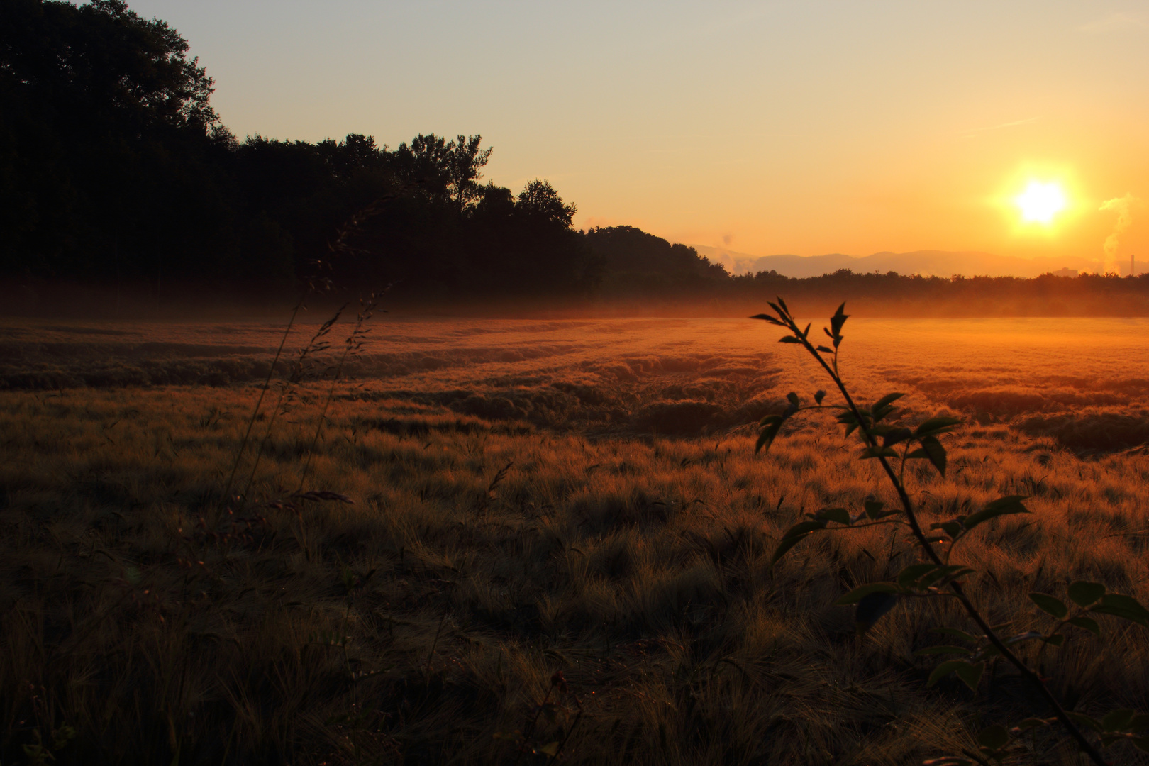 am morgen