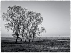 Am Morgen