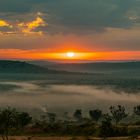 Am Morgen am Lake Mburo