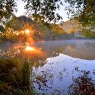 am Morgen am See (amanecer en el lago)