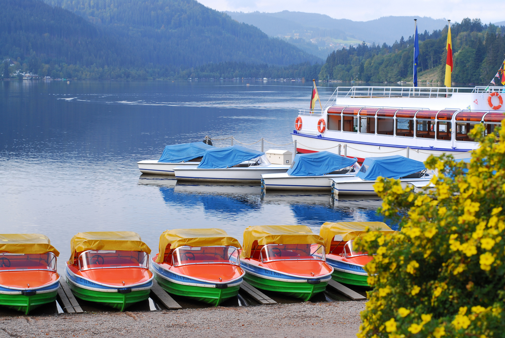 Am Morgen am Titisee