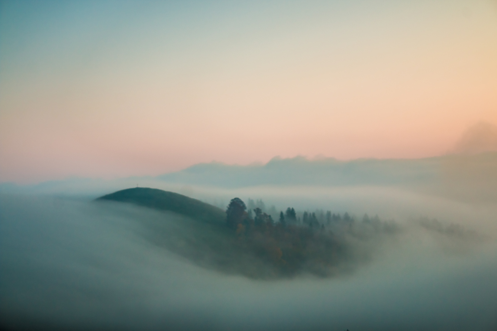 am Morgen auf der Alp