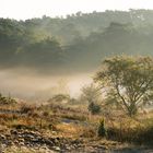 Am morgen auf die Heide