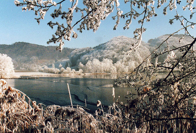 am Morgen bei Spaziergang 2