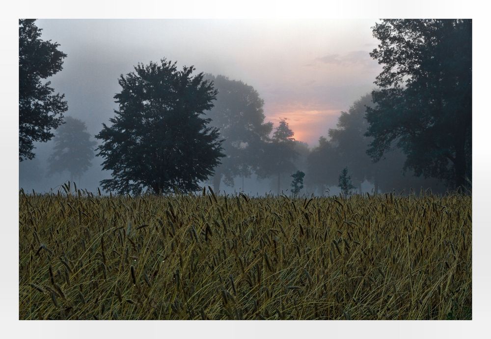 Am Morgen danach.. von Michael Levermann 