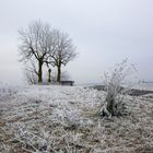 am Morgen danach - Raureif