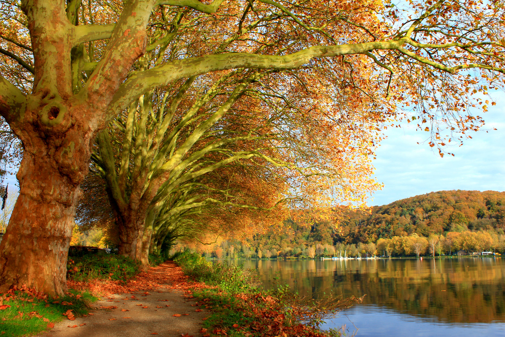 Am Morgen des 1. November am Baldeneysee in Essen