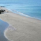 Am Morgen gehört der Strand noch den Möwen