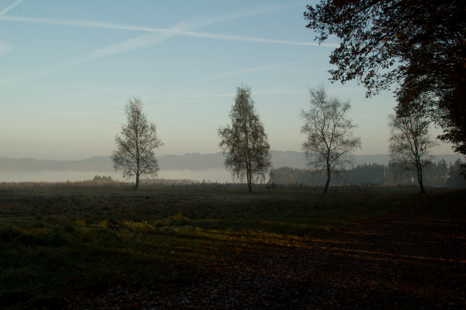 Am Morgen im Hunsrück