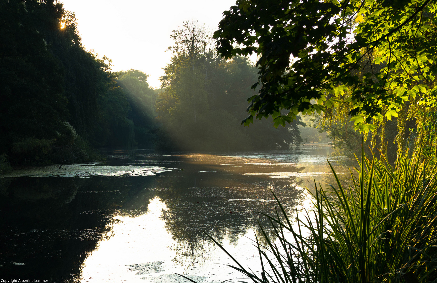 am Morgen im Spätsommer am See