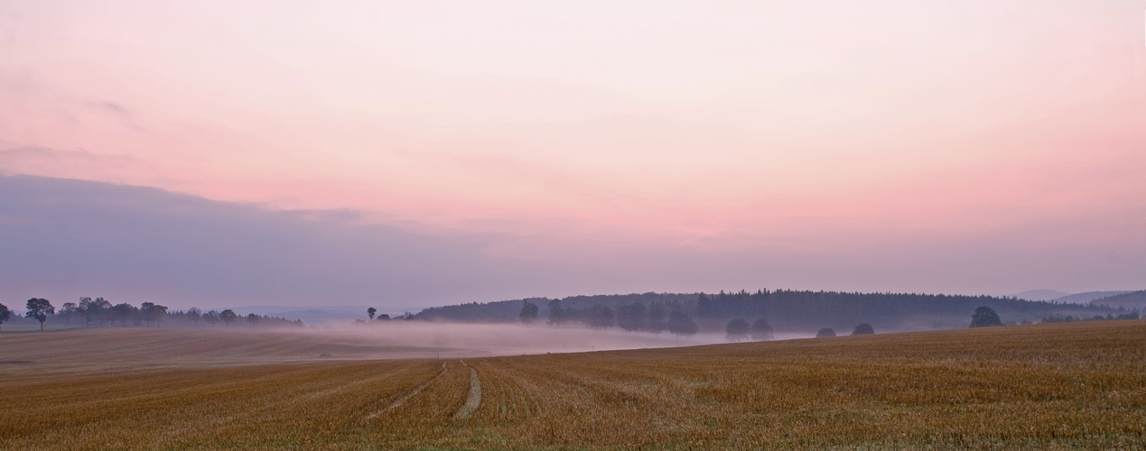 Am Morgen in Ansprung