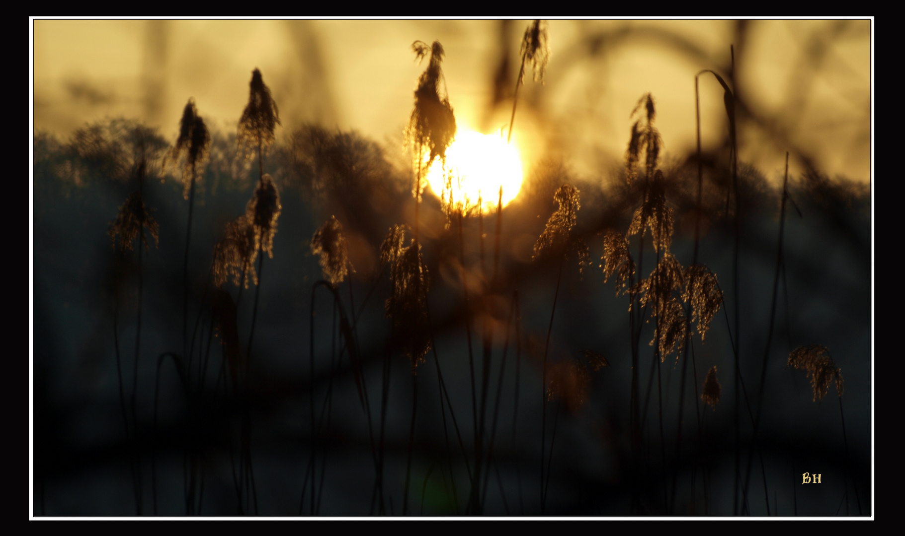 Am Morgen in Brandenburg (1)