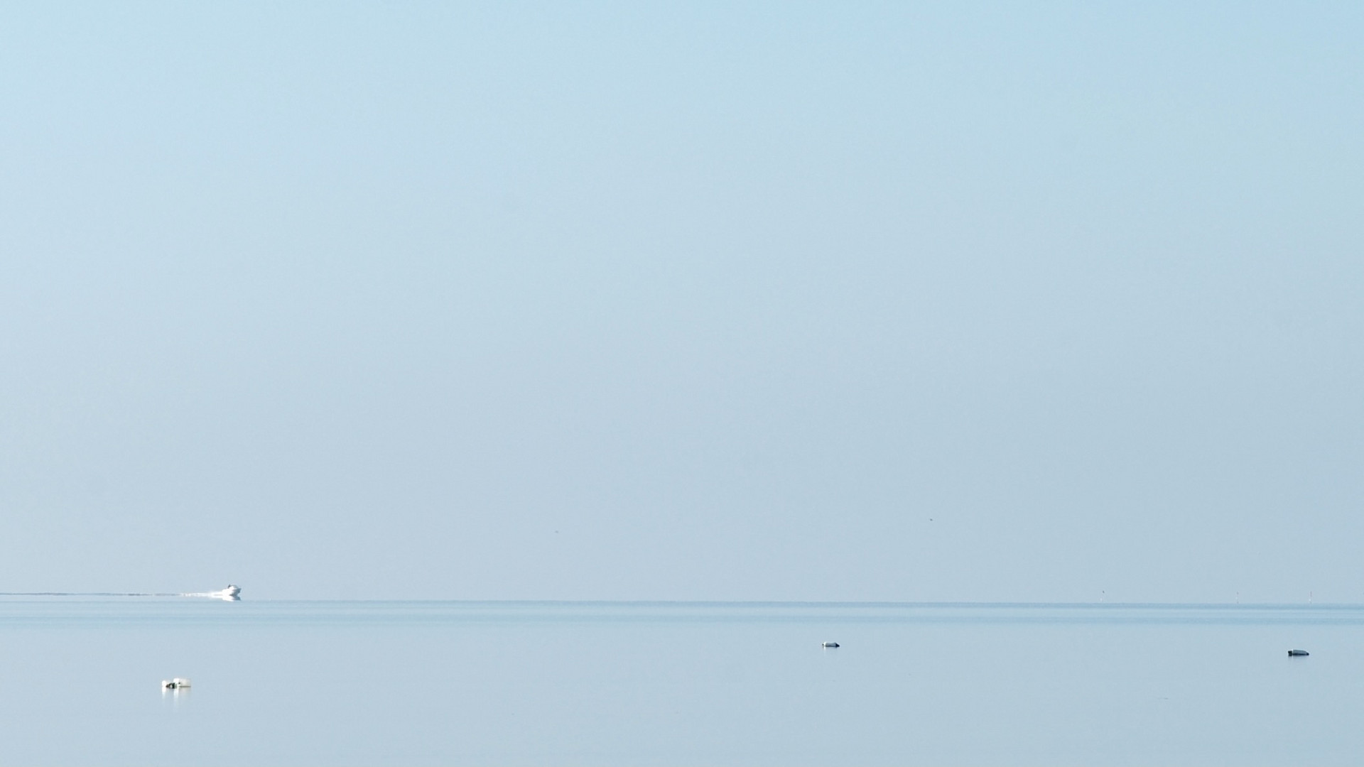 am Morgen in der Bucht (man muß es vergrößert anschauen!)