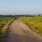 am Morgen in der Crete Senesi