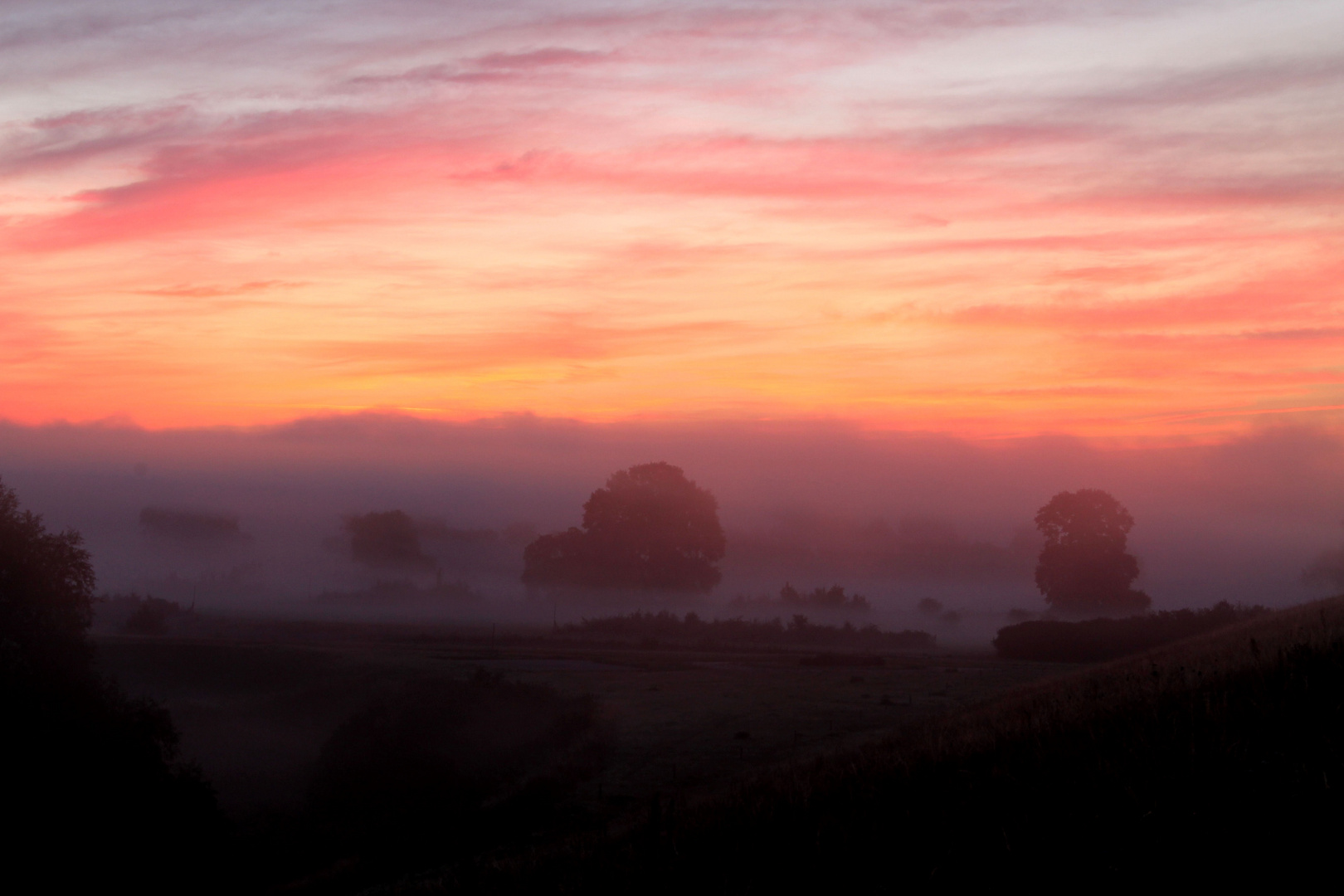 am Morgen in der Elbaue