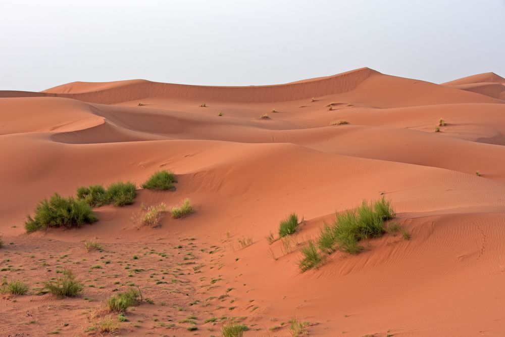 Am Morgen in der grandiosen Dünenlandschaft des Erg Chebbi