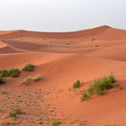 Am Morgen in der grandiosen Dünenlandschaft des Erg Chebbi