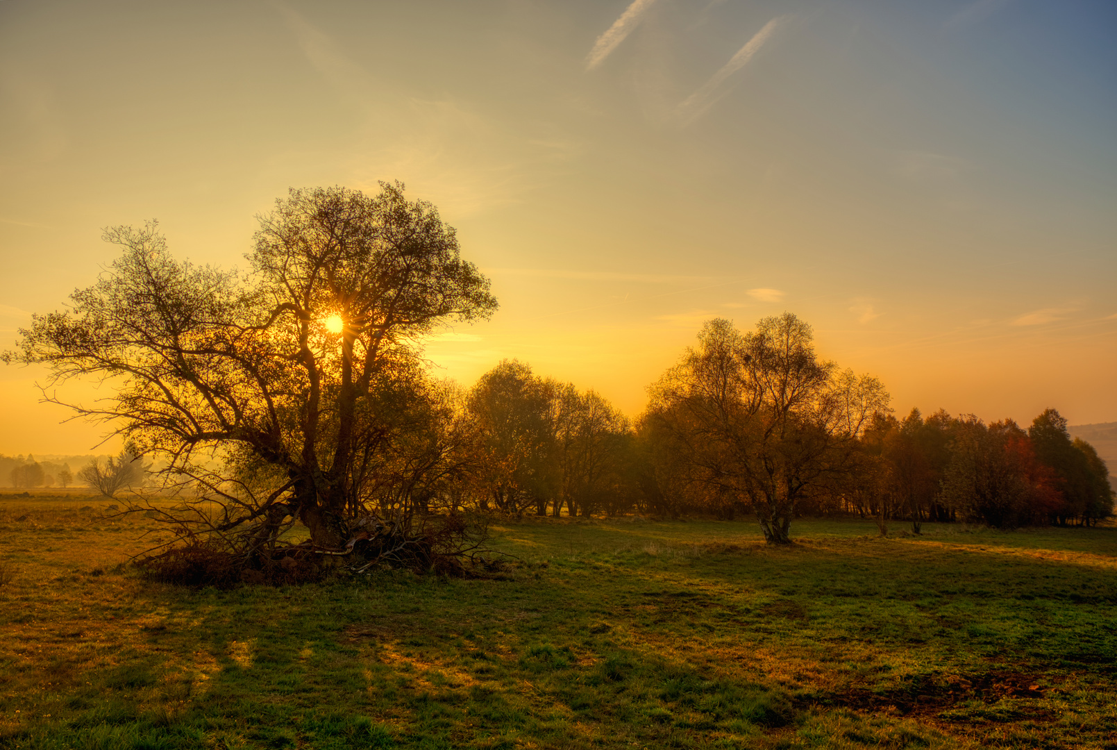 am Morgen in der Hochrhön