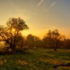 am Morgen in der Hochrhön