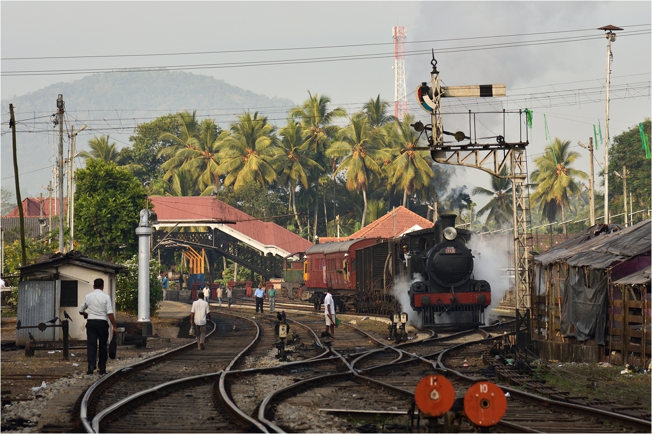 Am Morgen in Rambukkana IV