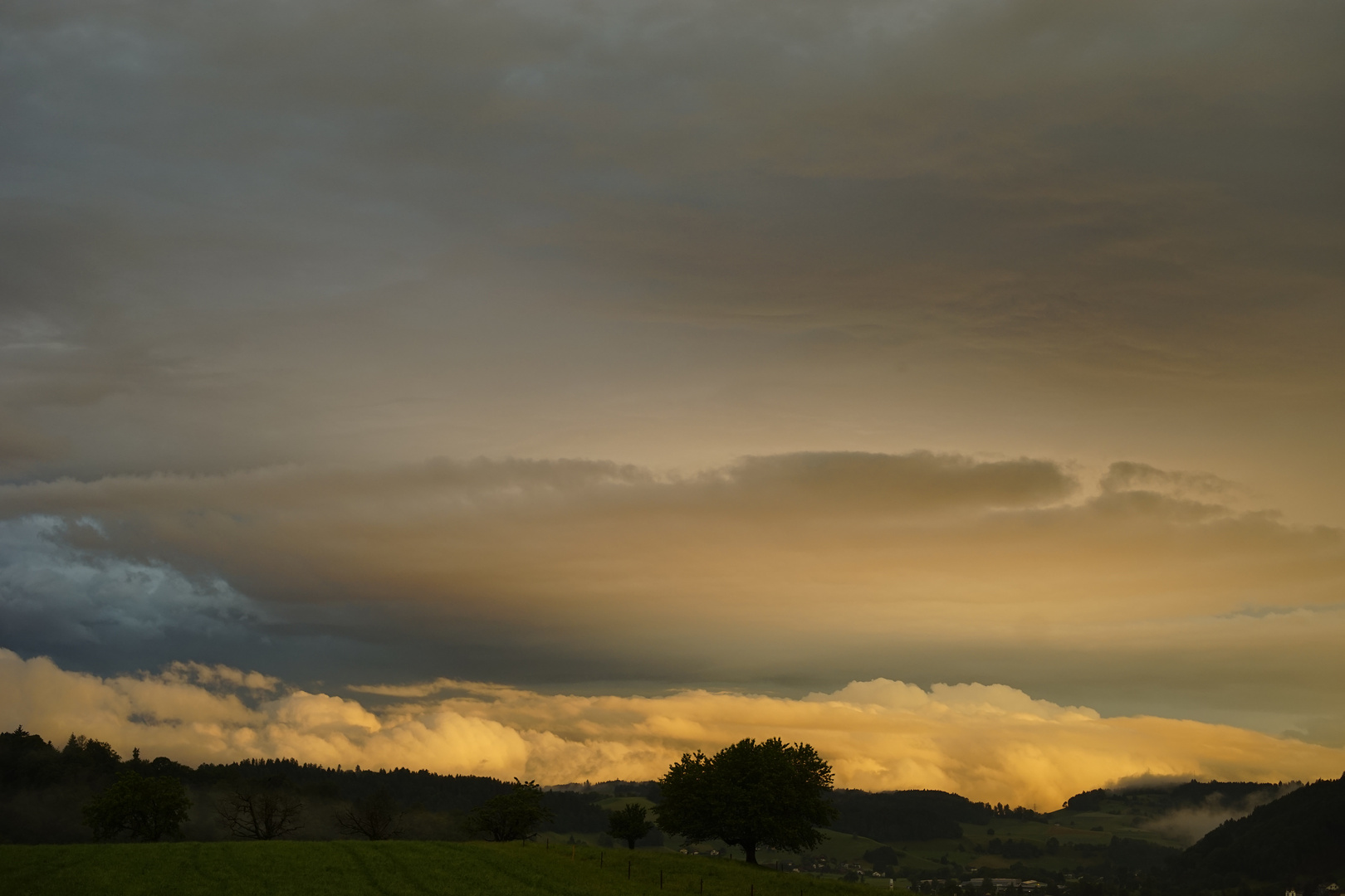 am Morgen nach dem Gewitter