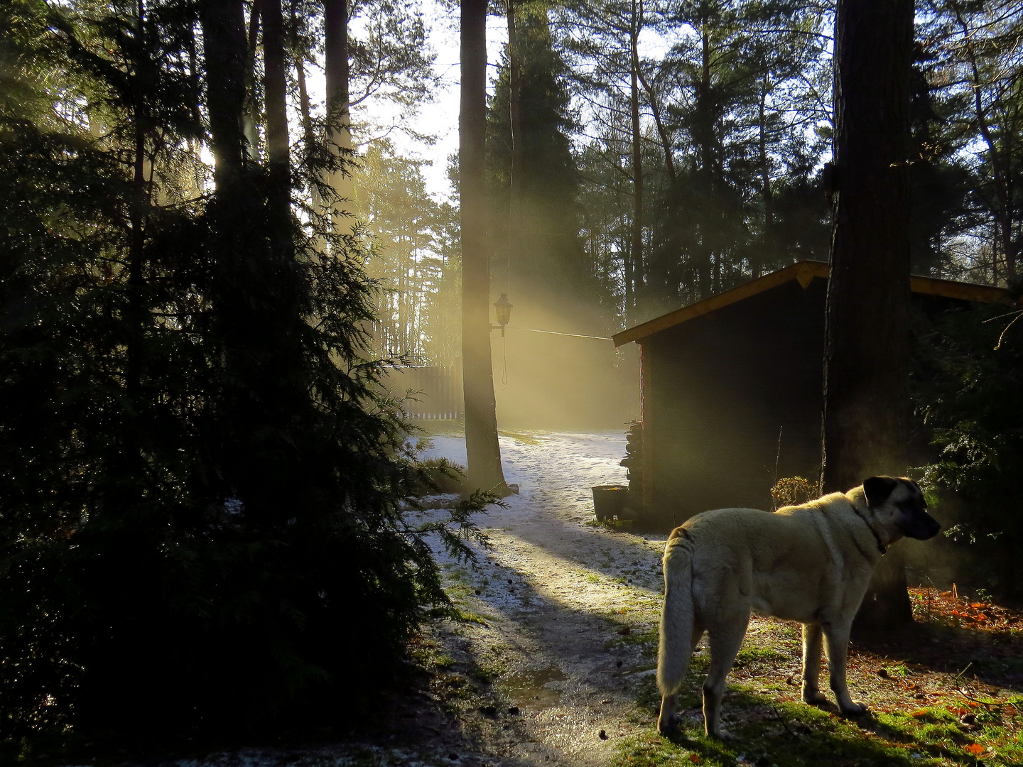 Am Morgen nach dem Regen