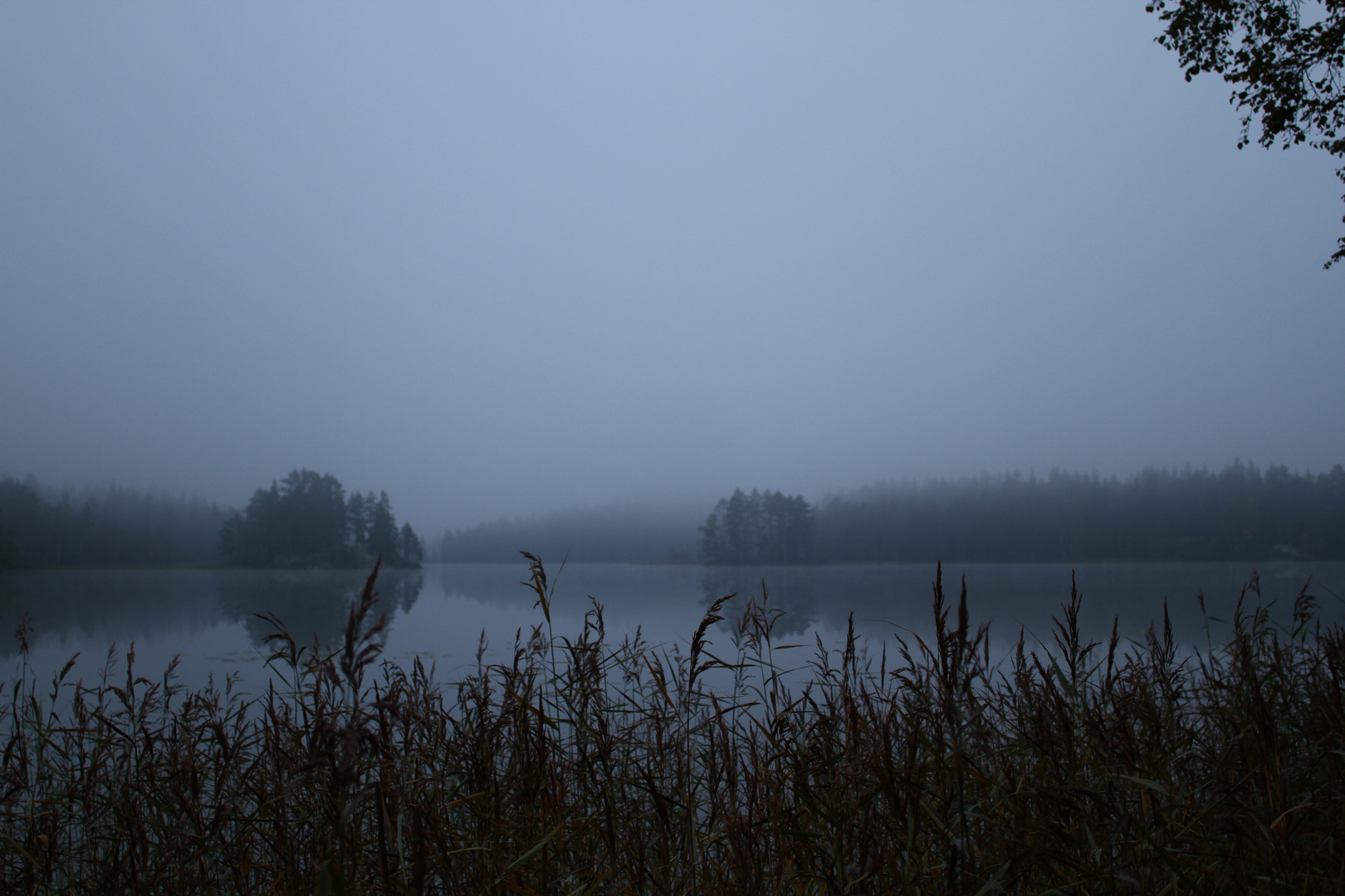 Am Morgen (Schweden)