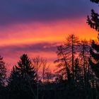 Am Morgen um 05.30 Uhr brennt der Himmel