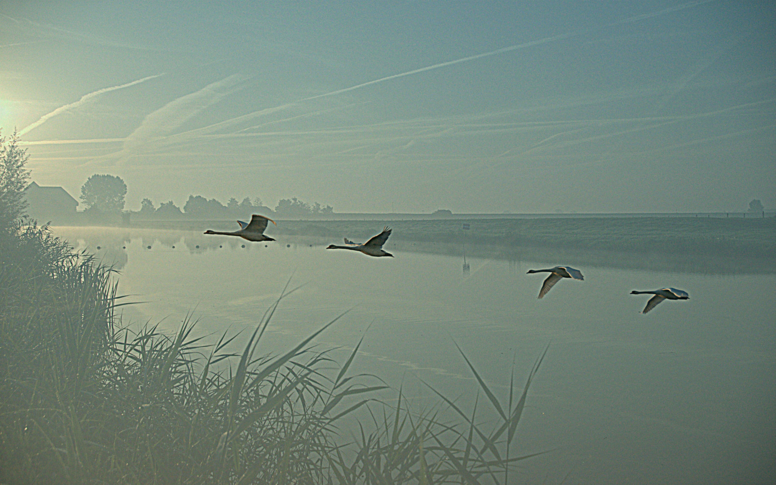 Am morgen von 09-09