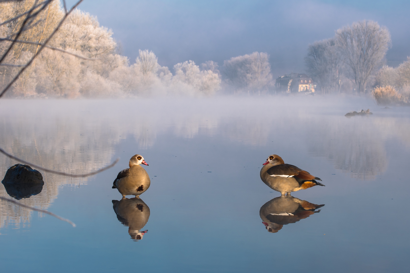 Am Morgen wenn der Nebel weicht