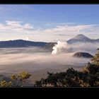 Am Mount Bromo