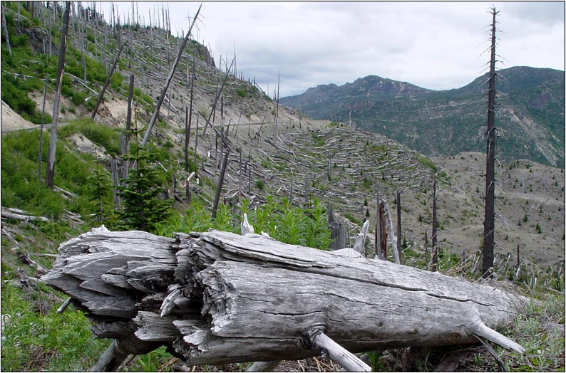 Am Mount St. Helens