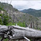 Am Mount St. Helens