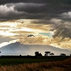 Am Mount Taranaki