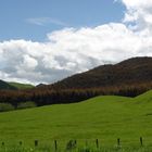 Am Mount/Lake Tarawera (Neuseeland/Okt 2003)