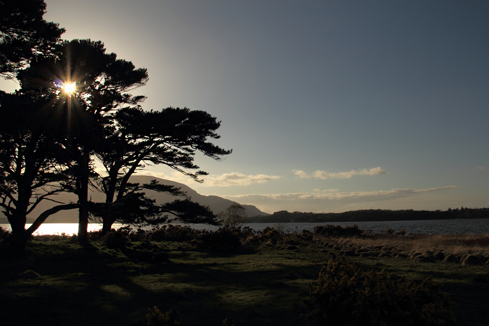 Am Muckross Lake...