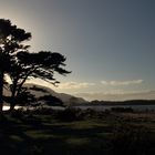 Am Muckross Lake...