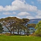 Am Muckross Lake / Killarney NP