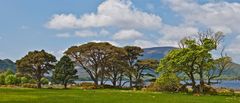 Am Muckross Lake / Killarney NP