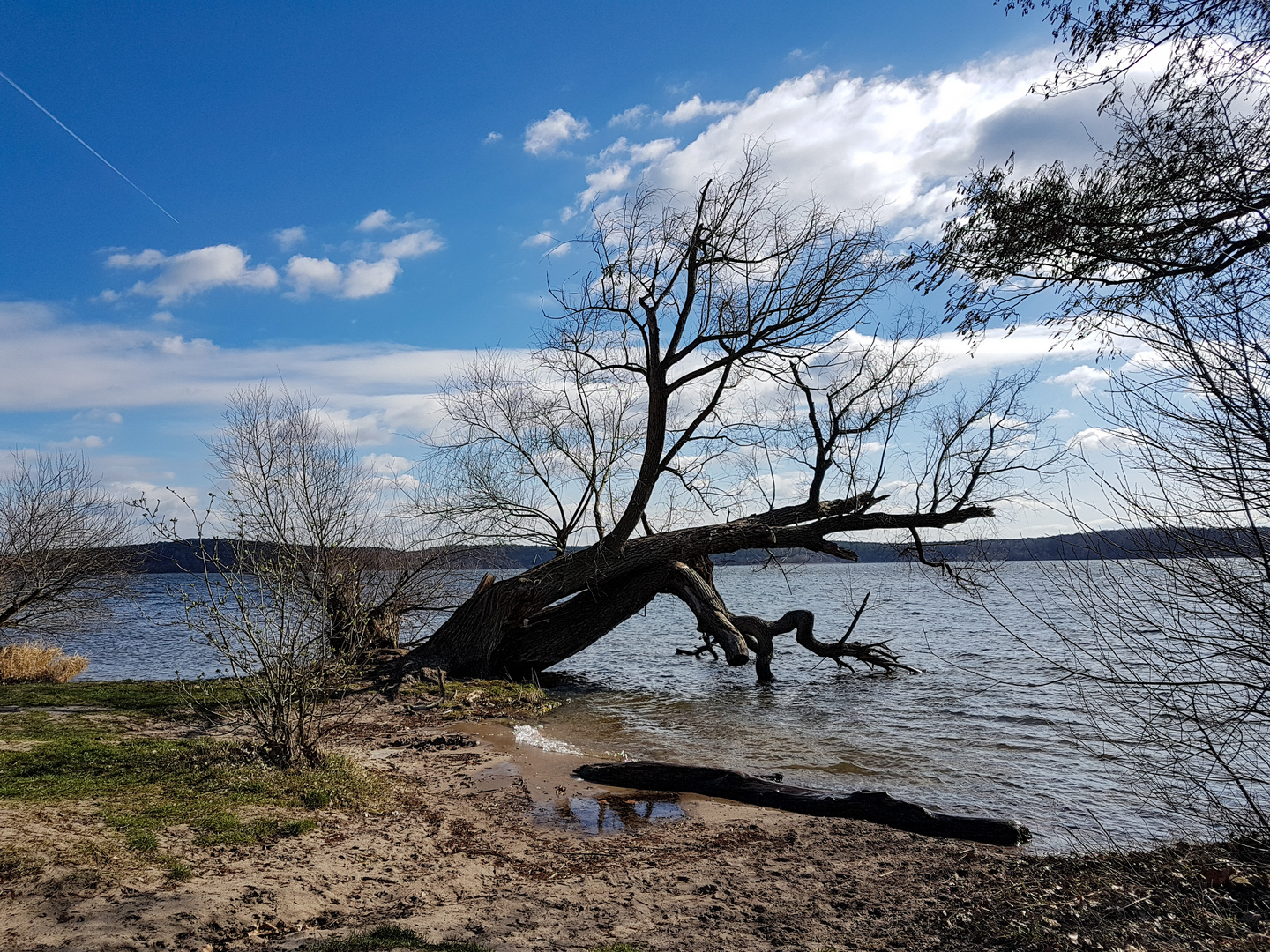 Am Müggelsee