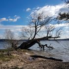 Am Müggelsee